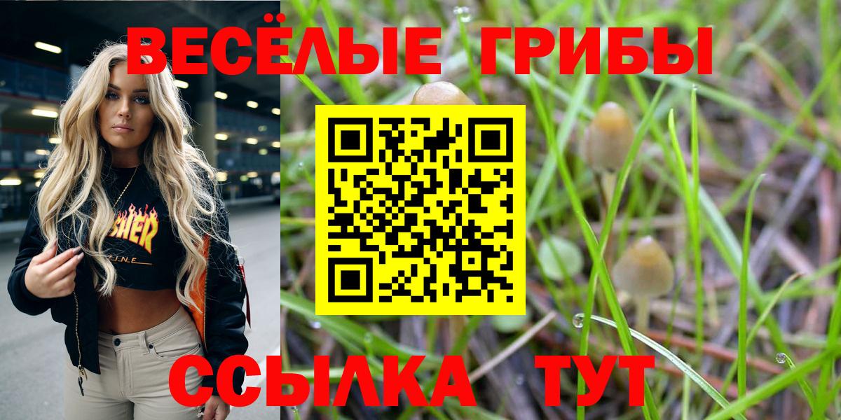 где продают наркотики  Вход с VPN  Азнакаево  Галлюциногенные грибы ЛСД 